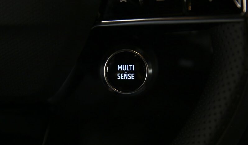 Renault Rafale Full Hybrid E-Tech 200 cv Techno pieno